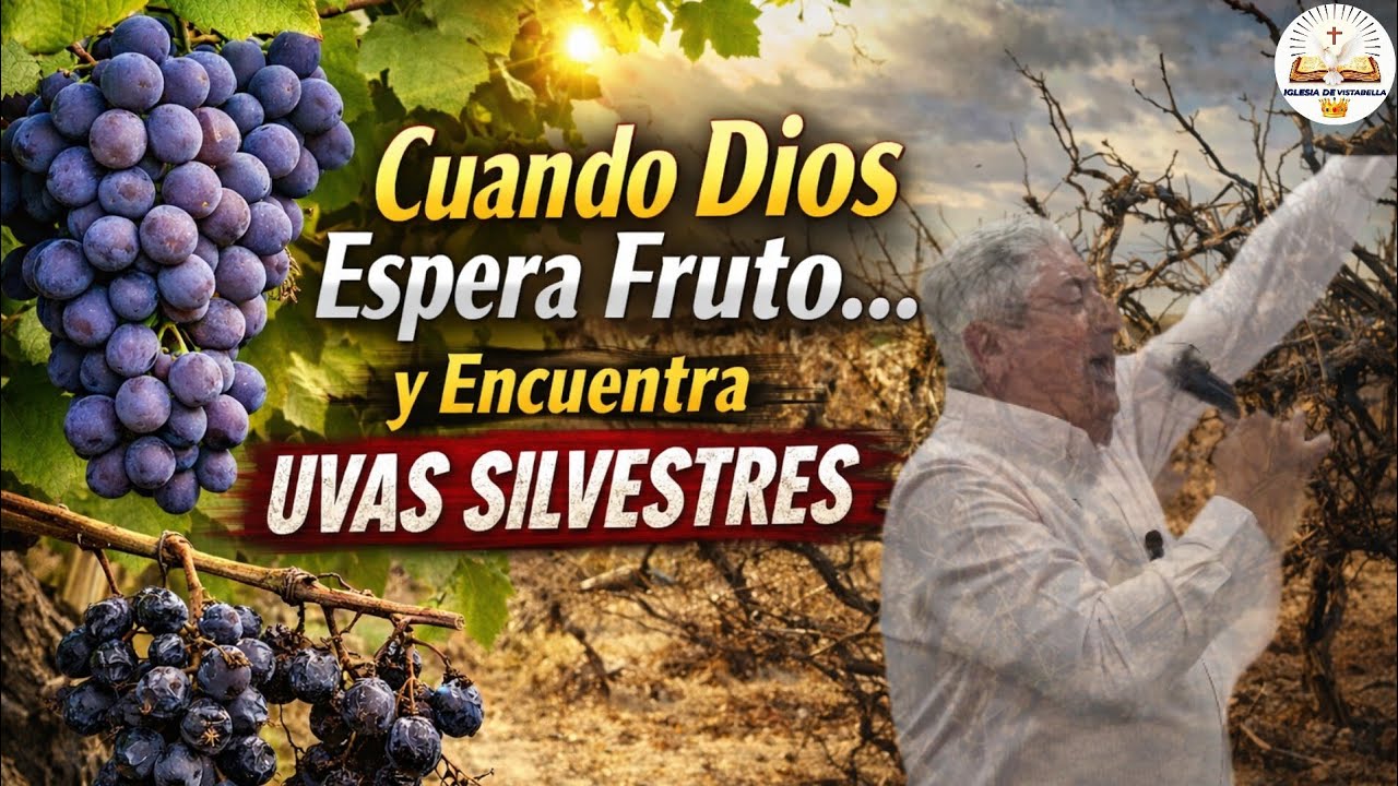 “Cuando Dios Espera Fruto… y Encuentra Uvas Silvestres” Iglesia de vistabella ,pastor: Manuel Rivas