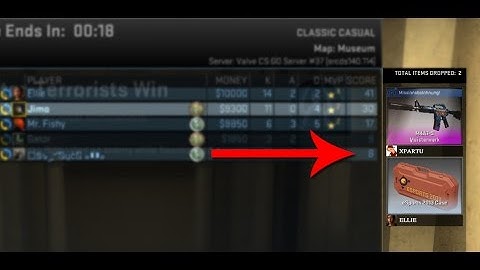 CS:GO M4A1-S MASTERPIECE Drop