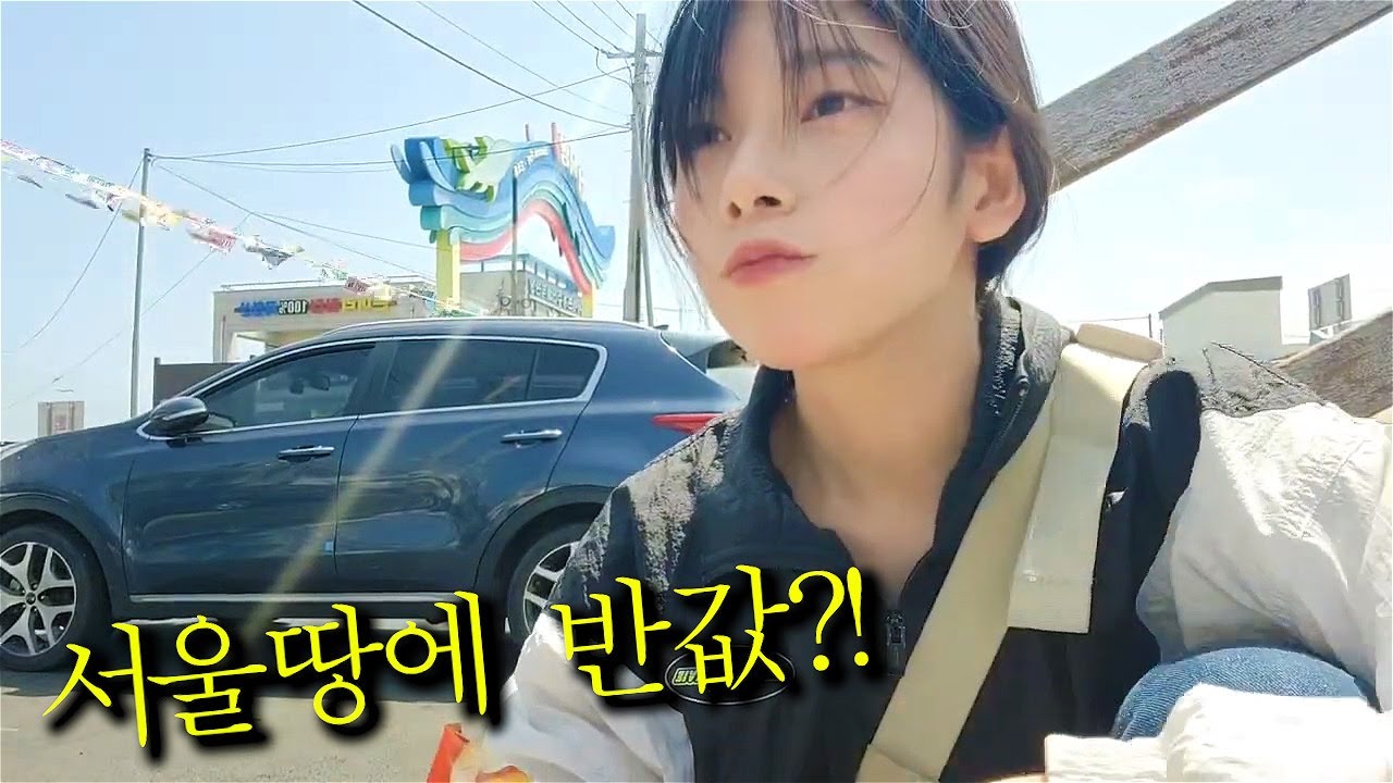 인천주변 섬 는 서울 집값에 반값?!!!  갈매기가 똥을 묻혀도 나는 섬에 간다