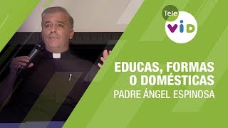 ¿Educas, formas o domésticas a tus hijos? Padre Ángel Espinosa - Tele VID