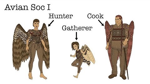 Worldbuilding | Avian-human Sociology pt 1: The Social Structure of a Qyaalyon Flock