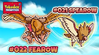 Spearow & Fearow The Fierce Bird Pokémon You Cant Ignore Animated Pokédex