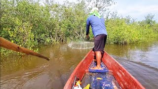 hemosa pesca de puros camarones la encontramos aqui