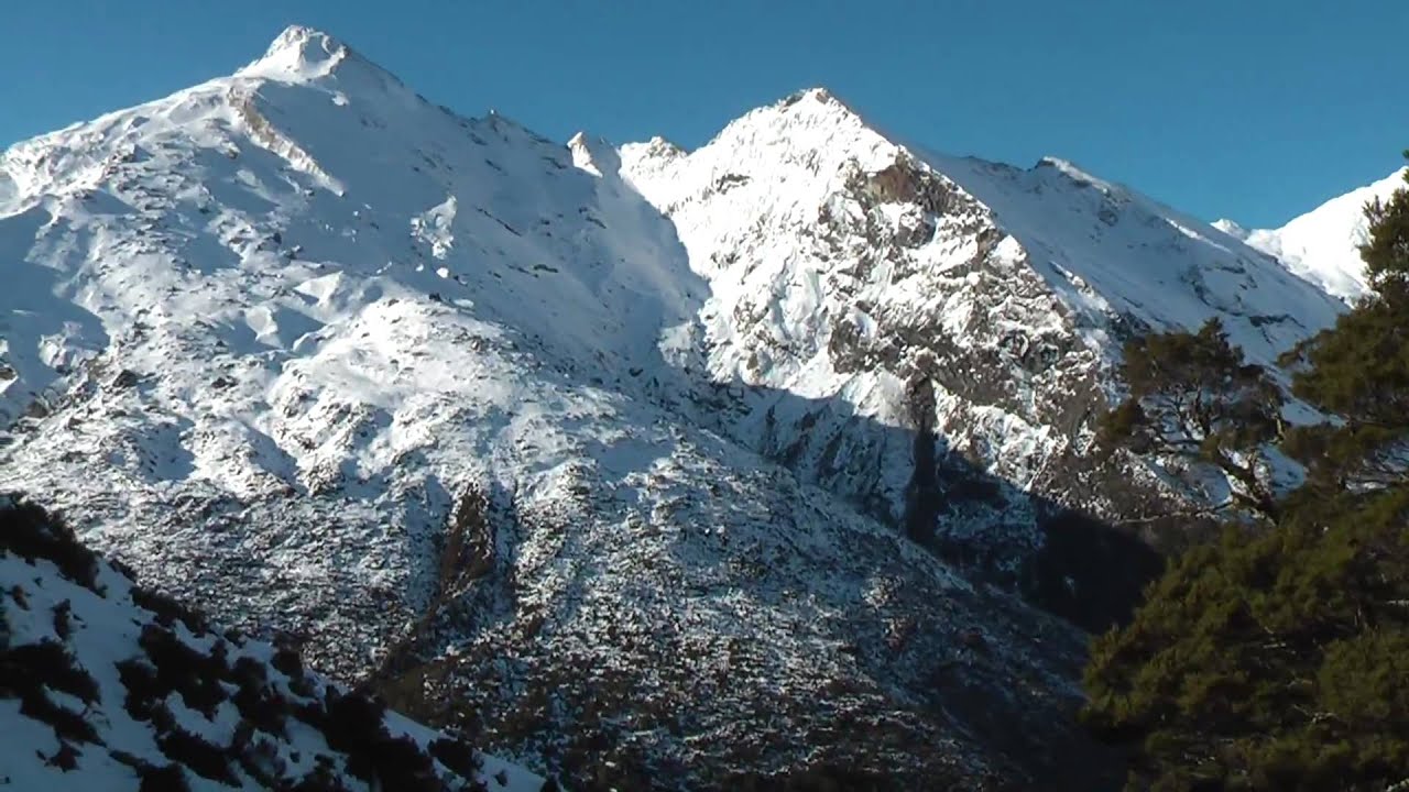 New Zealand Tahr Hunting Trip 2009 YouTube