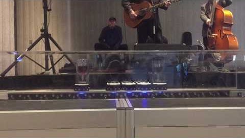 Siemens Multi Carrier System with Vibx