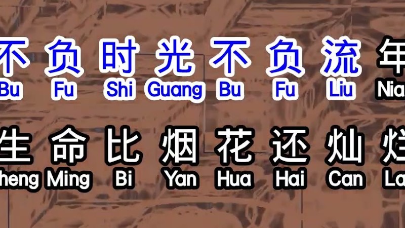 崔伟立  《 灿烂的你 》  Can Lan De Ni