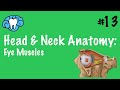 Head & Neck Anatomy | Eye Muscles | INBDE