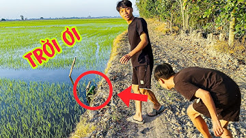 Em Thiện Kêu Trời Vì Đặt Lợp Ếch Vụ Đông Xuân Vào Toàn Siêu Phẩm