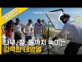 돌까지 녹여버리는 태양열