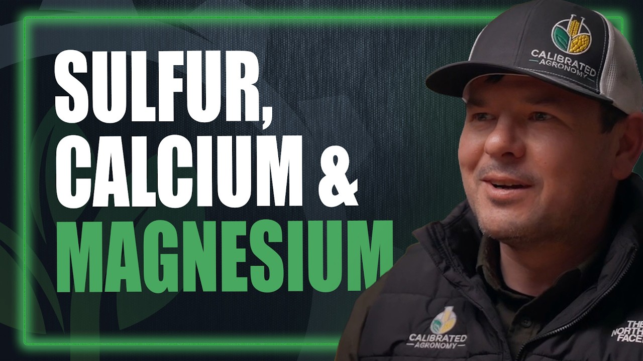 Сера, кальций и магний — недооцененный фактор повышения эффективности.