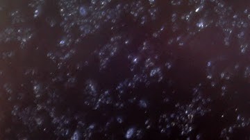 live cell imaging with my self made usb microscope