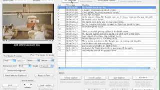 Editing and Fine-tuning Your Captions in MovieCaptioner