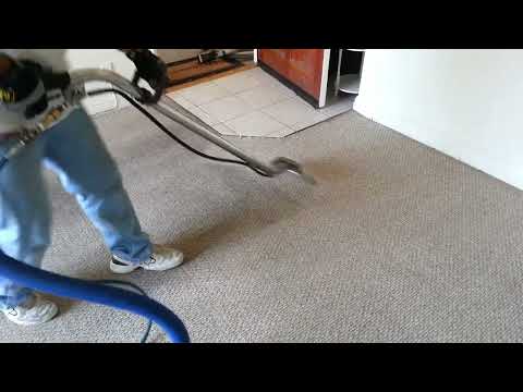 Apartment Carpet Cleaning in Sherman Oaks