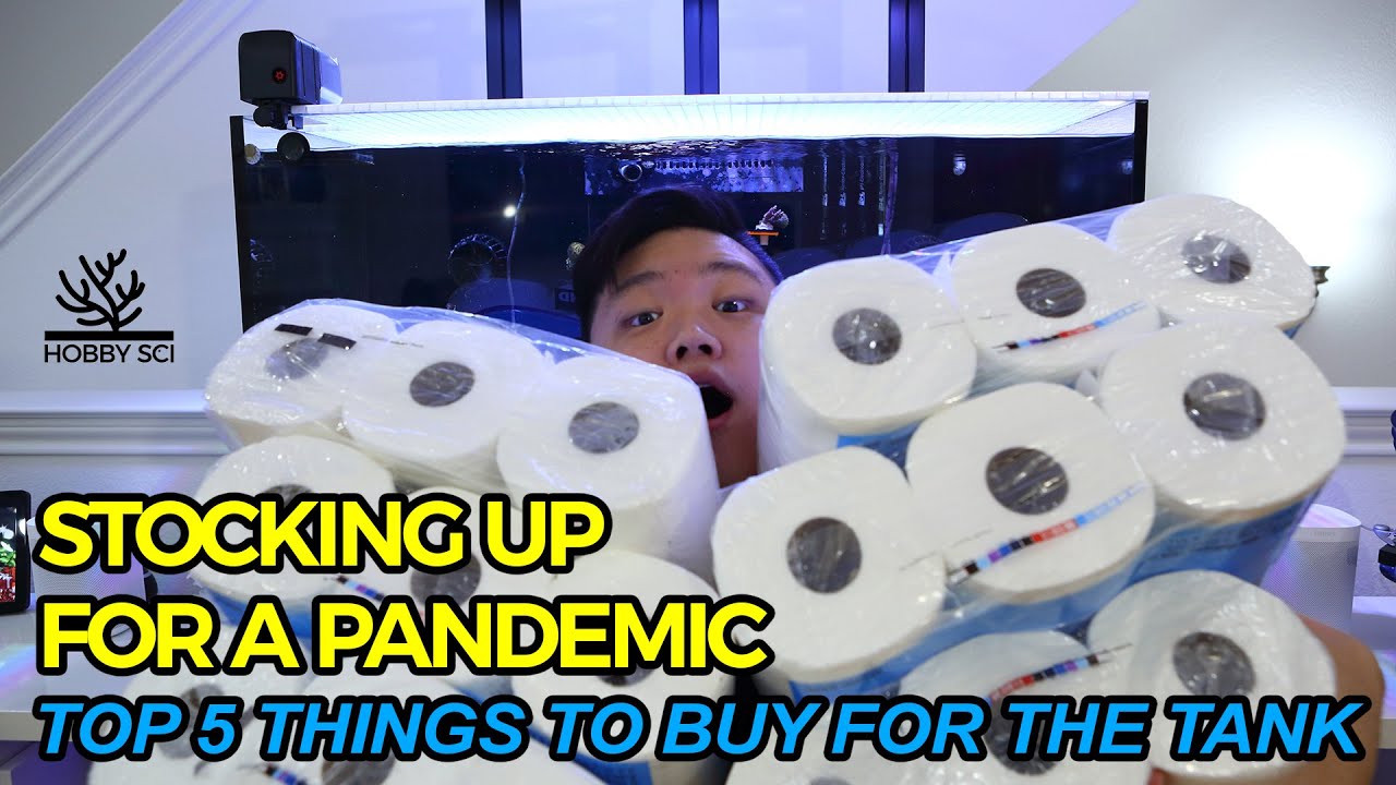 Top 5 Reef Tank Items for the Pandemic