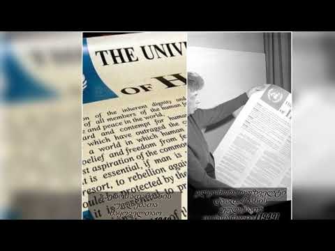 ადამიანის უფლებათა საყოველთაო დეკლარაცია 1948