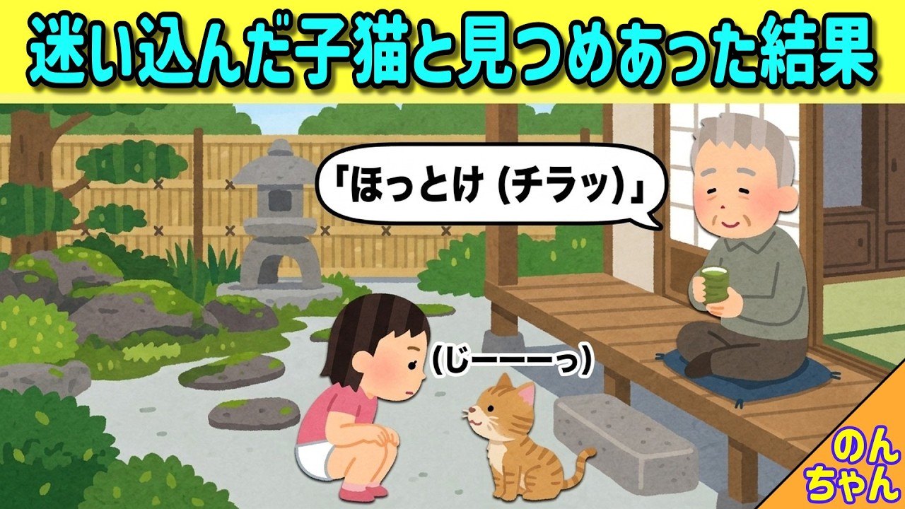 じいじのお庭に迷い込んだ子猫と赤ちゃんが見つめ合った結果→後日まさかの展開にｗ