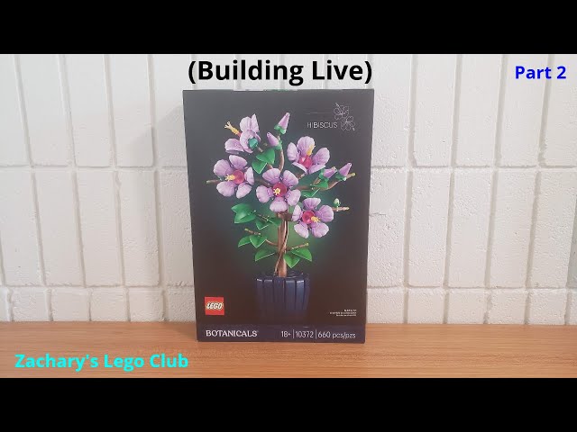 Lego Botanicals 10372 Hibiscus (Building Live, Part 2) - YouTube
