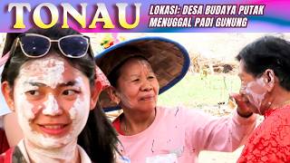 TONAU: Lagu Dayak Tunjung, Kearifan lokal Tradisi Menungal Padi Gunung di Desa Budaya Putak