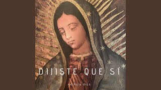Video thumbnail of "Agnus Dei - Dijiste Que Sí"