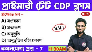 WB Primary TET CDP Class in Bengali | CDP Class - 7 | WB TET Pedagogy MCQ | প্রাইমারি টেট ক্লাস