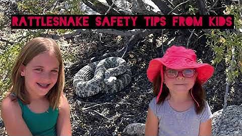 Rattlesnake Safety Tips from Kids
