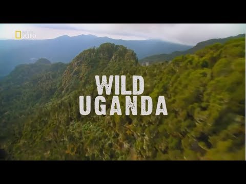 Vahşi Uganda | Belgesel