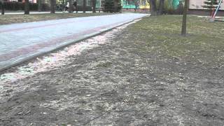 Obraz 009.avi