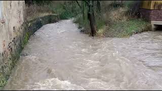 Waldheim Hochwasser 2023 zusammenfluss Gebersbach und Mortelbach