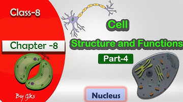 Cell Structure and Functions | Class 8 Chapter-8 | Cell CBSE Chapter 8 | Part-4 (Nucleus)