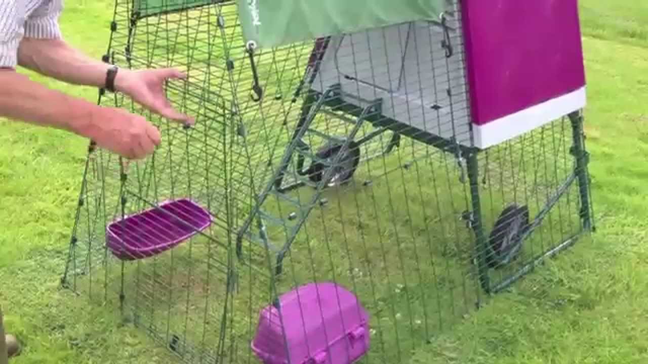 Panoramic View Of The Eglu Go Up