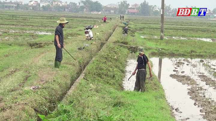 Nạo vét kênh mương nội đồng là gì năm 2024