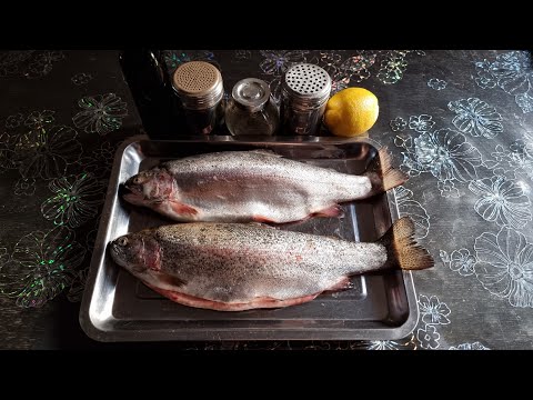 ФОРЕЛЬ ЗАСОЛКА ЦЕЛИКОМ!