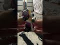 OPENING A MYSTERY TADC ANIMINIZ ABSTRACTED SERIES BLIND BOX AND I GOT…
