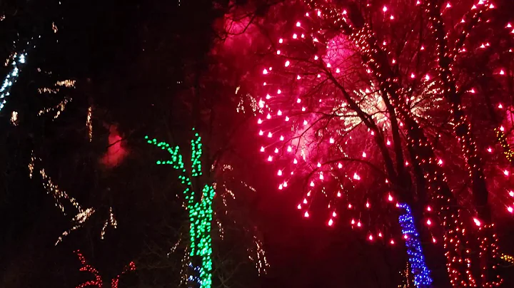 2020 New Year celebration 2