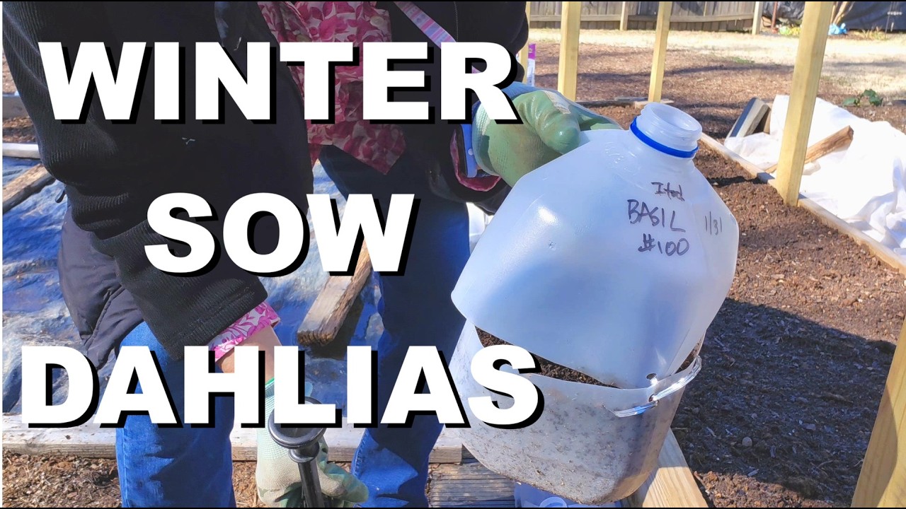 Let Winter Decide / 8 Weeks from Frost-Free Date