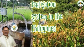 Israeli fertigation system in Philippines | upland rice farming | uplands irrigation system screenshot 3
