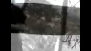 little by little Never too late.mp4