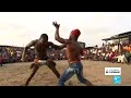 A la dcouverte du dambe sport traditionnel au nigeria