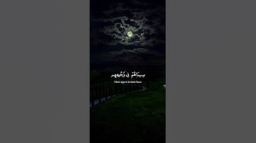 اكتب شيء تؤجر عليه 😴💚 قران كريم | ياسر الدوسري
