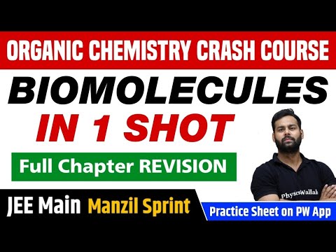 BIOMOLECULES in One Shot - Full Chapter Revision | Class 12 | JEE Main