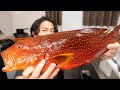 食べれば病院送り？危険すぎる『猛毒魚』を食べてみると。。。【シガテラ】