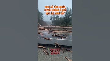 Bản tin 13h ngày 27/10: Cập nhật mưa lũ ở Huế #shorts #tin