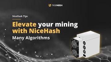 How many Algorithms does NiceHash support?