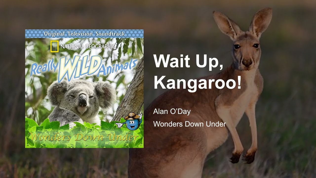 Watch Wait Up, Kangaroo! | Really Wild Animals Music (Wonders Down Under) on YouTube Watch Wait Up, Kangaroo! | Really Wild Animals Music (Wonders Down Under) on YouTube