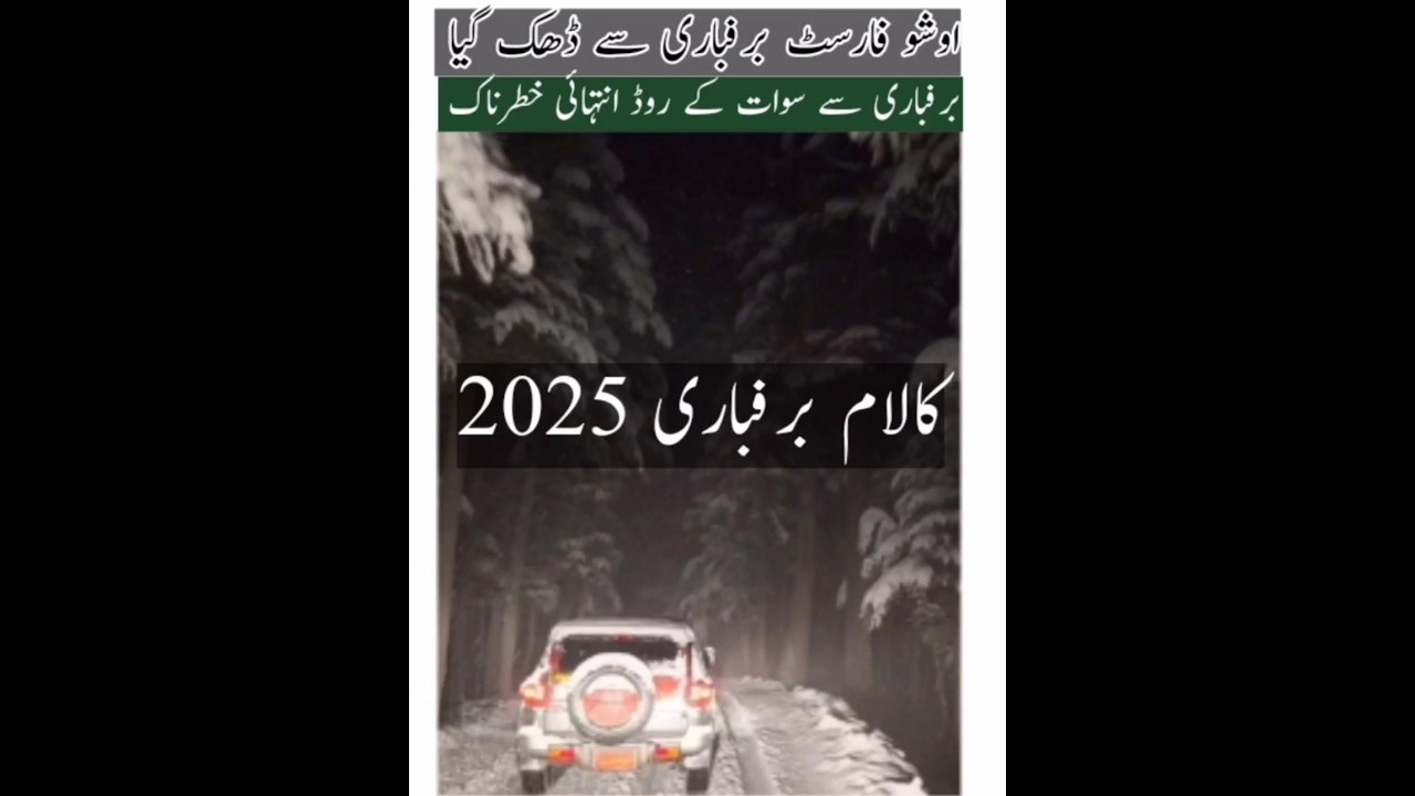 Ushu forest | Osho forest | kalam today live| kalam snowfall 2025