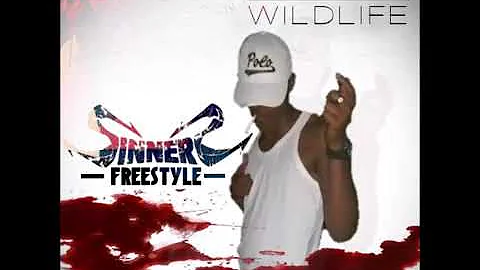 FRANCO WILDLIFE - Sinners Freestyle (November 2017)