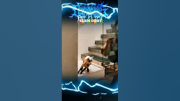 Decomposition of Entrails - Unholy Bleeding #shorts #deathmetal #slammetal #moshpit