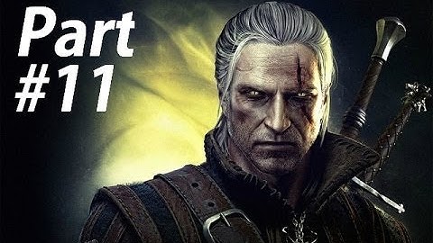 The Witcher 2 Assassin