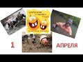 Прикольное поздравление с 1 апреля! ДЕНЬ СМЕХА!