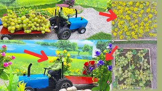 Diy tractor Farming | Graps Farming Fun Process | Village life | Diy mini Farming | BGCreator